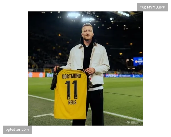 镜头捕捉:威斯特法伦南看台巨型Tifo致敬退役在即的罗伊斯。